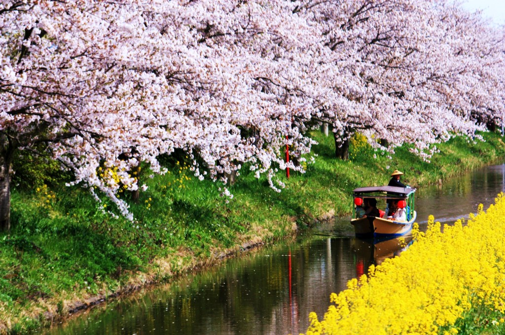 水郷巡り