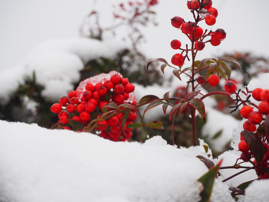 年賀のコメント頂きありがとうございます