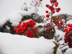 年賀のコメント頂きありがとうございます