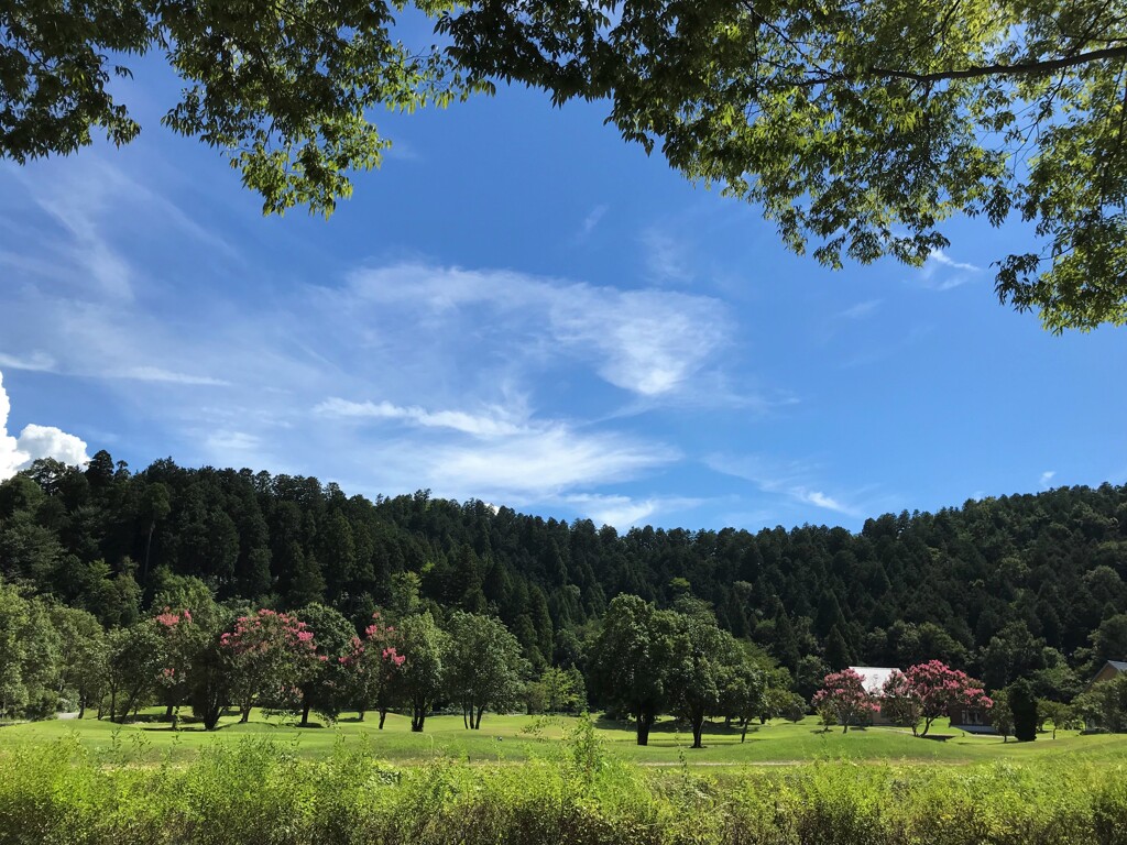 真夏日の公園