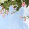 いつまでも咲きます