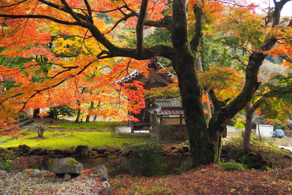 山寺の紅葉