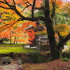 山寺の紅葉