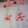 頂いた花束を