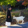 山羊の道を正しく歩くのだよ！