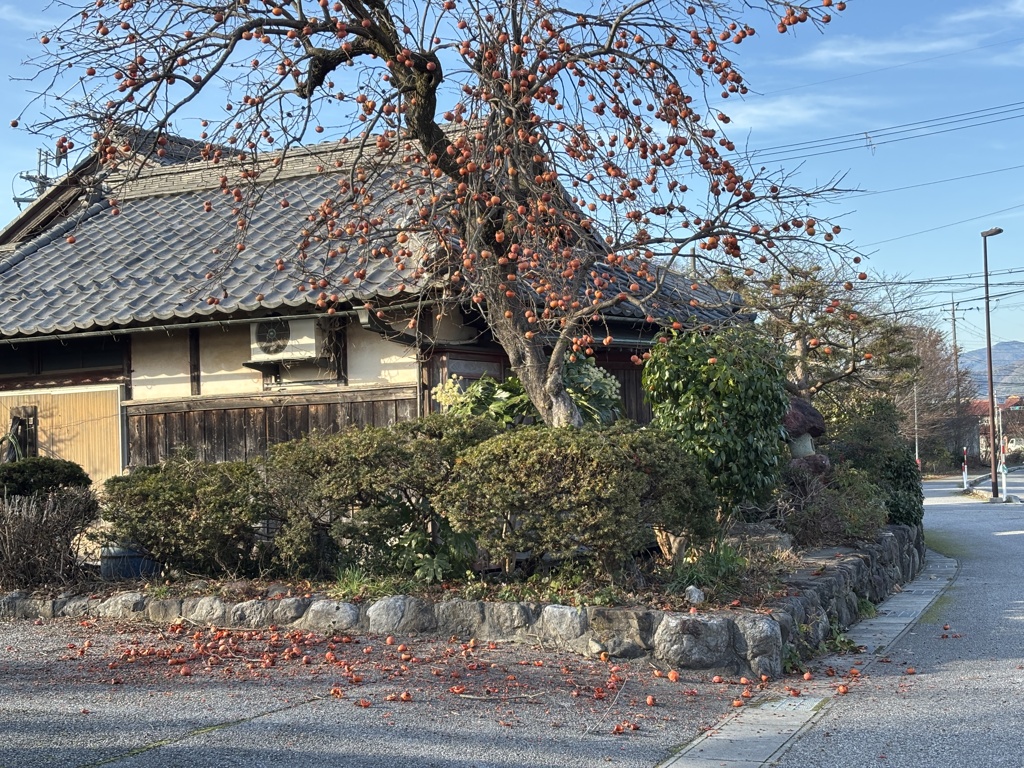 いよいよ鳥さんの餌に