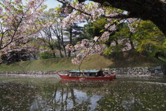 彦根城お堀巡り