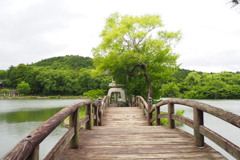 灯篭への橋
