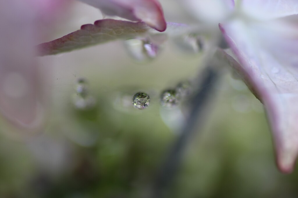 雨上がり