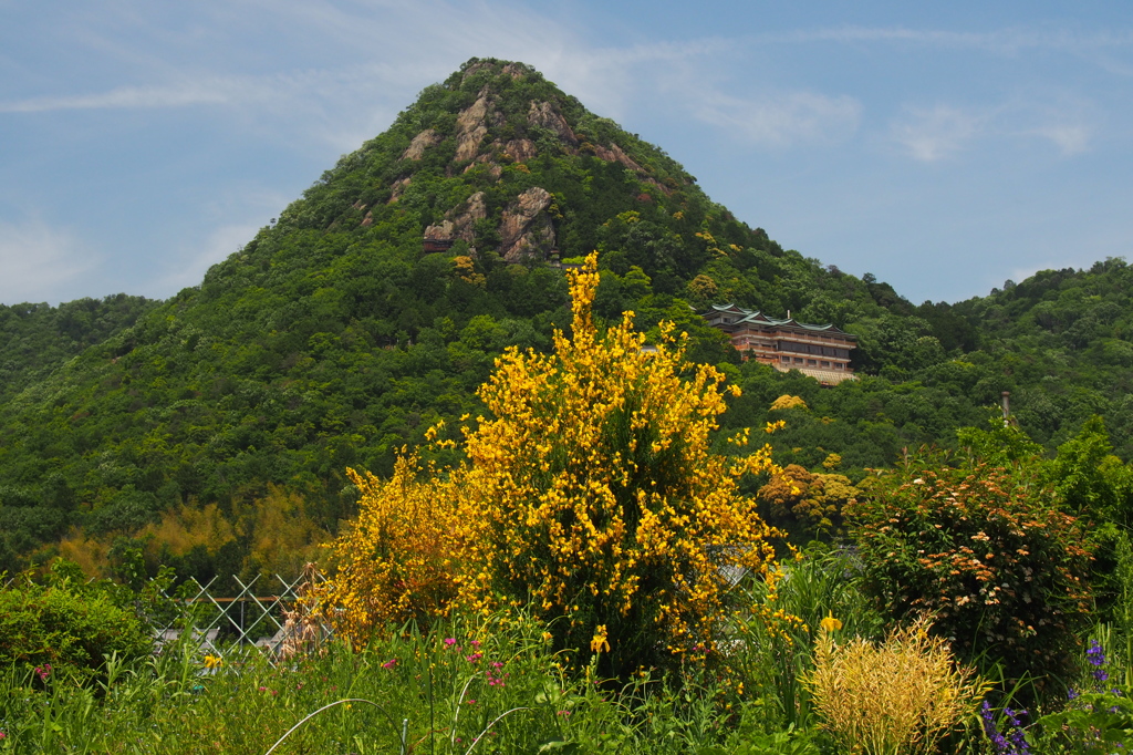 赤神山