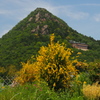 赤神山