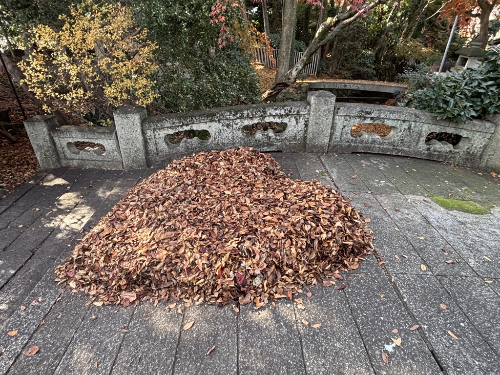 ハートがドカーン♡