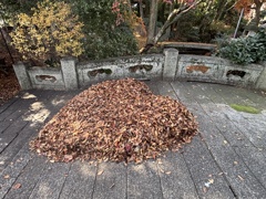 ハートがドカーン♡