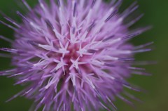 花火のつもり