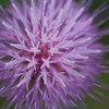 花火のつもり