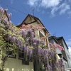 藤の花を纏うカフェ