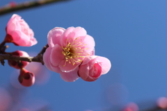 優しいほほ笑み