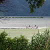 休息の場所