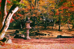 松原下屋敷庭園②