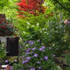 ワクワクの花園