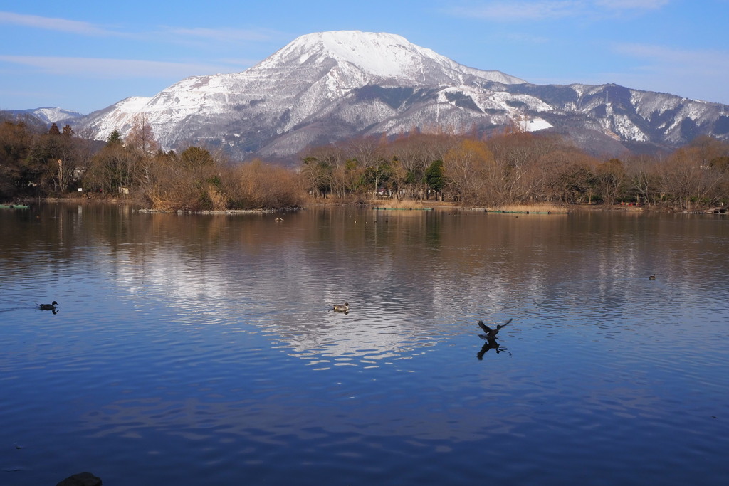 三島池から伊吹山