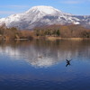 三島池から伊吹山
