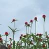 背伸びしてる・・・？