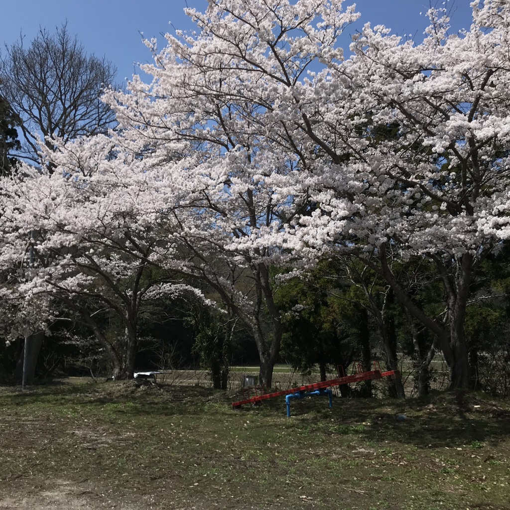 誰もいない公園