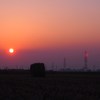 藁ロールと夕日