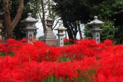 小さな神社の参道