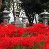 小さな神社の参道