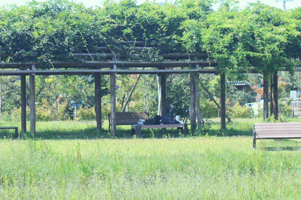 長閑な昼下がり