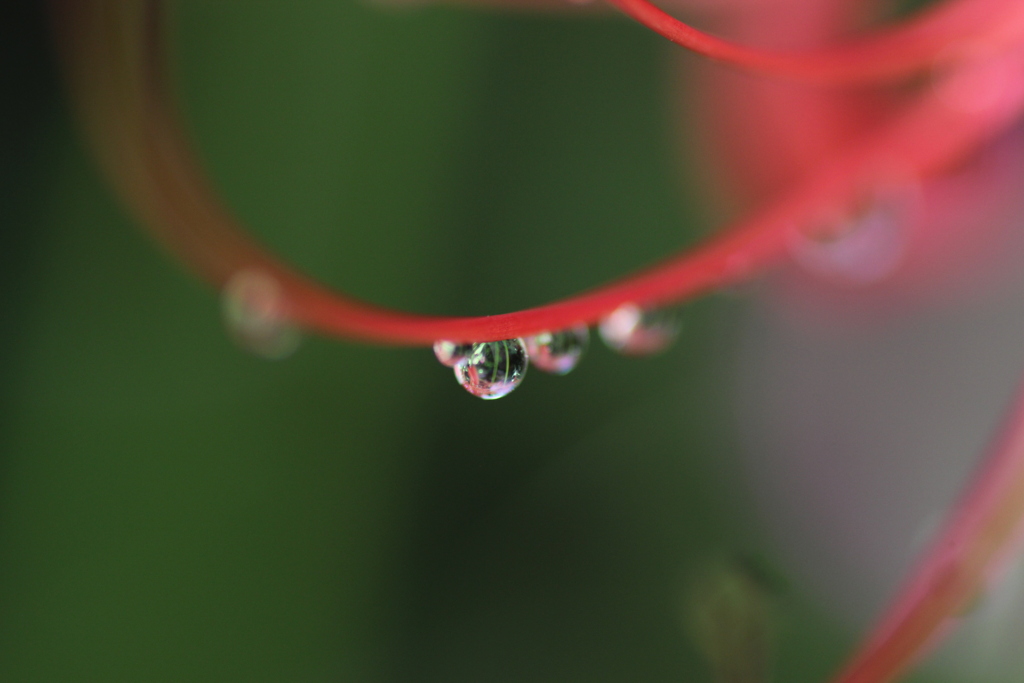 水滴②