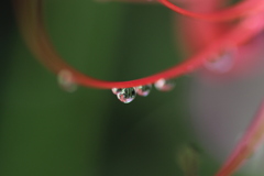 水滴②
