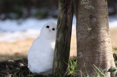 優しさをありがとう☆