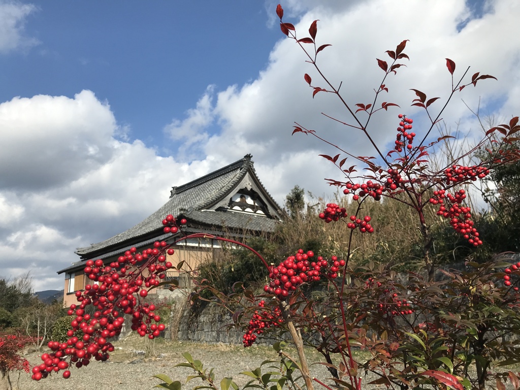 南天と青空