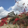 南天と青空