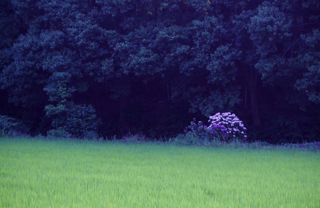 夕暮れの山里