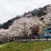 青いキッチンカーと桜