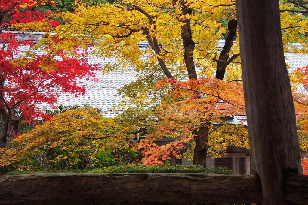 山寺の秋
