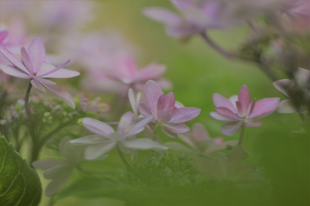 梅雨の合間に
