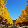 あっという間に！