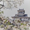 桜と長浜城