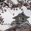 桜と城