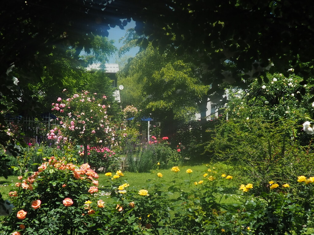 癒しの園