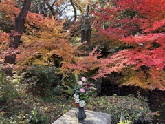 紅葉と生け花