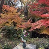 紅葉と生け花