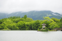 新緑の三島池