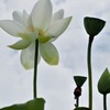 空に向かって