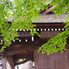 蒼モミジの神社